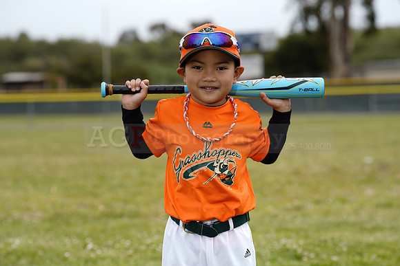 TBGrasshoppers00107