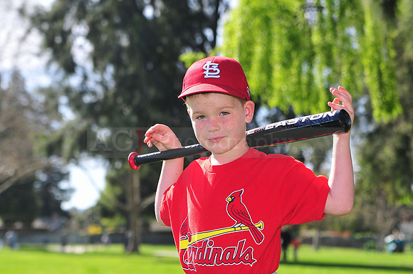 TBCardinals025