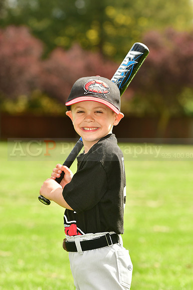 FMMudcats032