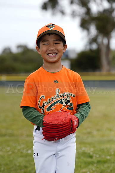TBGrasshoppers00113