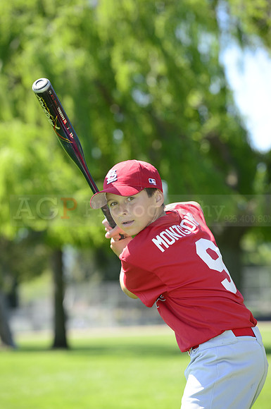 AAA Cards099
