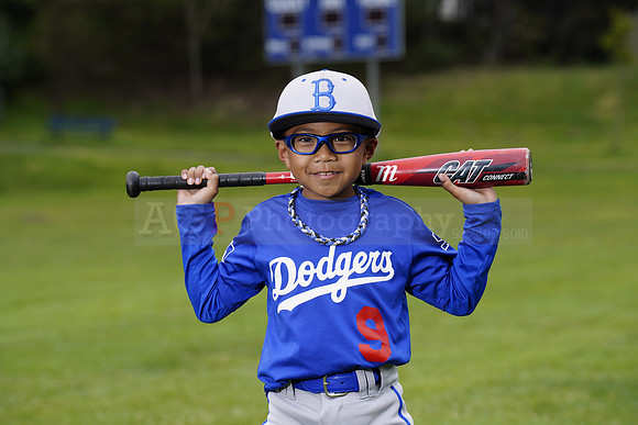 PWDodgers00095