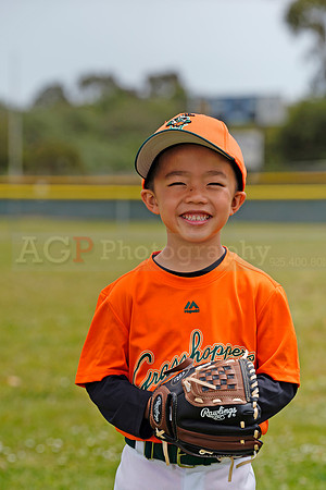 TBGrasshoppers00025