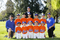 A METS