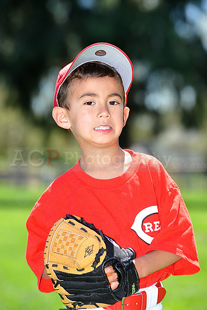 T-Ball_Reds003