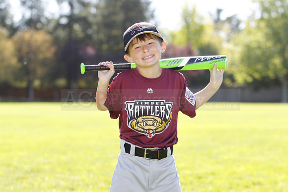 ATimberRattlers012