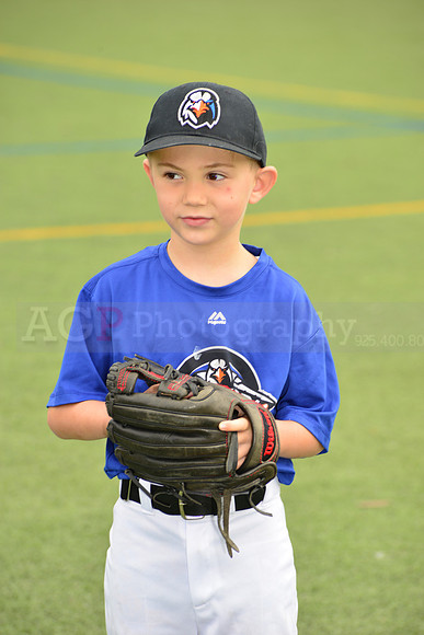 SB_TB_Ironbirds00040