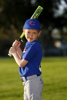 FarmCubs018