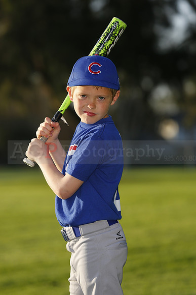 FarmCubs018
