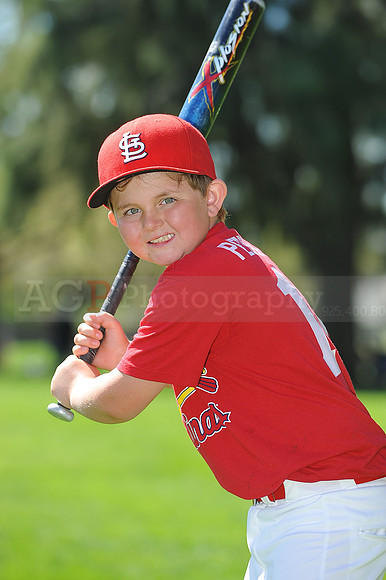 A_Cardinals069