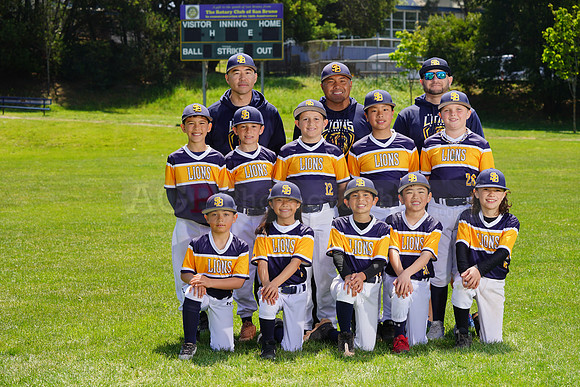 SB_PW_Lions104
