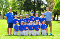 AA CUBS