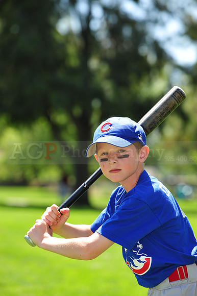 AACubs016
