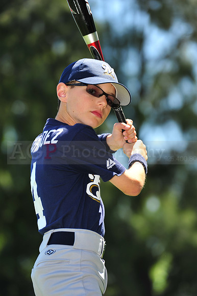 AA Brewers077