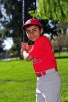 TBCardinals003