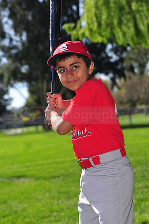 TBCardinals003