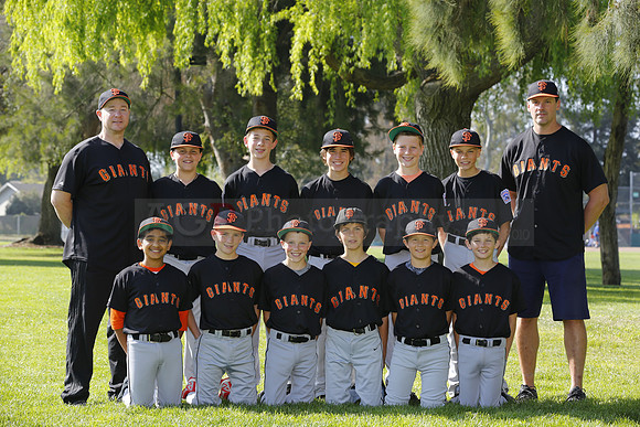 MajorGiants088