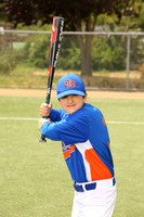 SB_BR_Mets00001