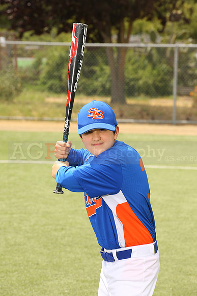 SB_BR_Mets00001