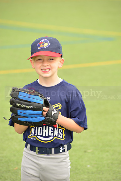 SB_TB_mudhens00034