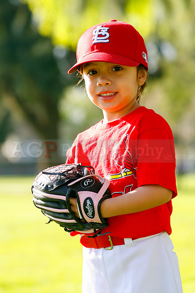 TBCards044