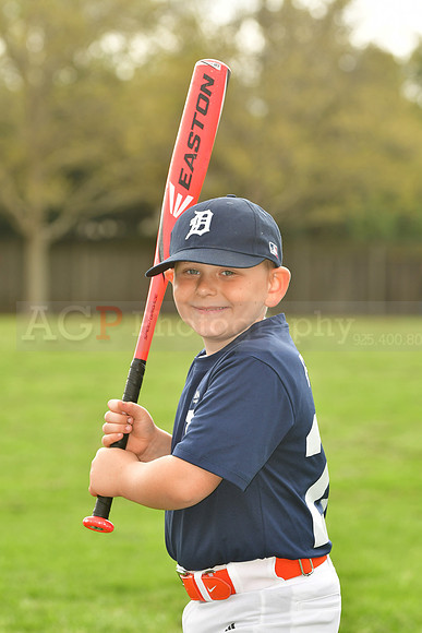 AATigers028