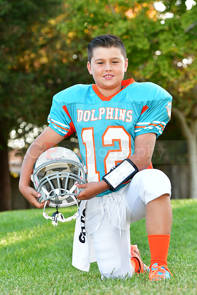 Dolphins082