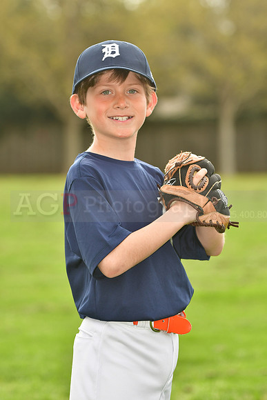 AATigers038