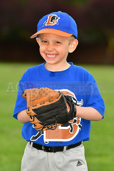 TBBulls025