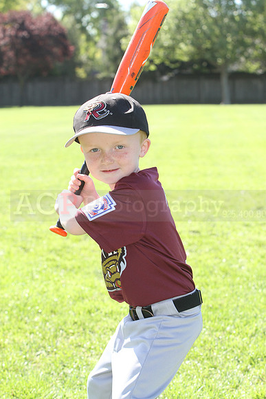 FMTimberRattlers030