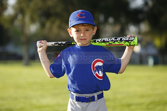 FarmCubs075